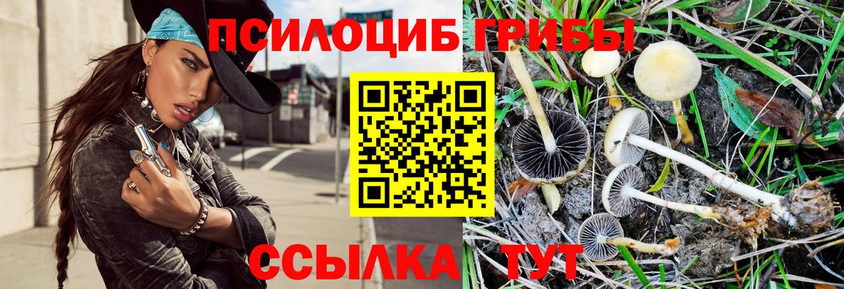 Кстово  Галлюциногенные грибы Psilocybine cubensis  Вход с VPN 